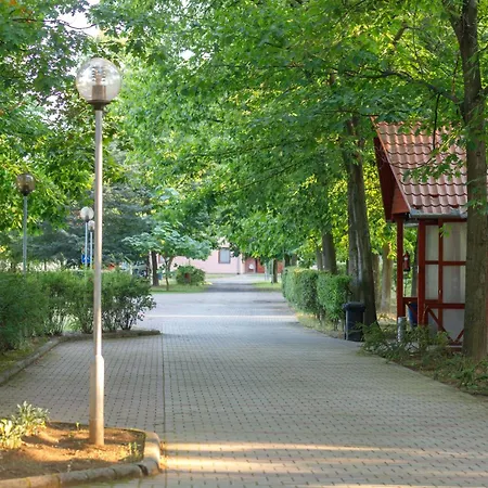 Sarkany Es Apartmán Nyírbátor